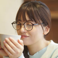 【老眼鏡 リーディンググラス】SCANDINAVIAN PATTERN SPC-009 col.1 ブラウン度数+1.50 1個（直送品）