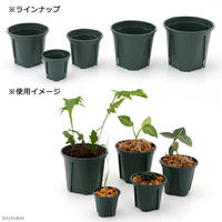 兼弥産業 スリット鉢 EUPOT 11cm モスグリーン 102918 1セット(30個)（直送品）