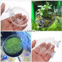 JUN グラスポット アクアリウム 水草 105073 1個（直送品）