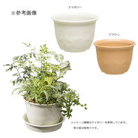 大和プラスチック 鉢 ノーミィローポット 7号 アイボリー 262826 1個（直送品）