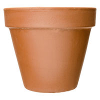 Deroma S.P.A. 多肉植物 デローマ スタンダードポット 15cm 264566 1個（直送品）