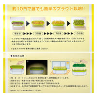 大和プラスチック 鉢 キッチンファーム 250型 スプラウト栽培 269536 1個（直送品）