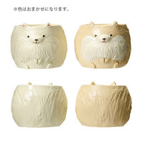 ケー・イー・アイ 鉢 リトルレジンポット ポメラニアン 272616 1個（直送品）