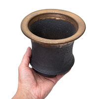 かみ山陶器 盆栽鉢 信楽焼 植木鉢 金彩オモト 5号 283220 1個（直送品）