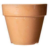 鹿沼興産 多肉植物 素焼き鉢 5号 283838 1個（直送品）