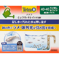 テトラ ジャパン じょうろでキレイメダカ鉢 40×40 ラメ増しホワイト 291741 1個（直送品）