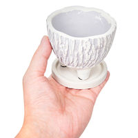 友膳 多肉植物 ヴォルカンスタンドSW ホワイト 295742 1個（直送品）