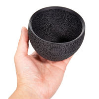 bachi 多肉植物 Gyropot 標葉(しねは) 3号鉢 297480 1個（直送品）