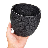 bachi 多肉植物 Gyropot 加布羅(かふら) 4号鉢 297482 1個（直送品）