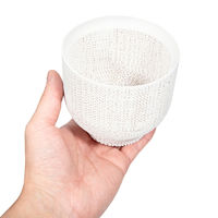 bachi 多肉植物 Gyropot 二丈(にじょう) 白 3号鉢 297487 1個（直送品）