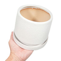 陶里 フラン ホワイト 受け皿付き 307090 1個（直送品）