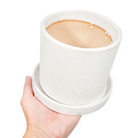 陶里 コルムナ ホワイト 受け皿付き 307096 1個（直送品）