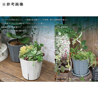 アップルウェアー(園芸) スリット鉢 アップルウェアー スリットオアシス&スタイルプレート 7号 ホワイト 309399 1個（直送品）