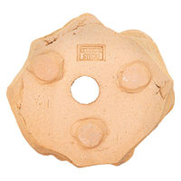 リーフ 鉢 信楽焼 COM WORK STUDIO作 GCー1 930602 1個（直送品）