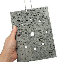 リーフ 観葉植物着生用プレート 溶岩石 小 930840 1個（直送品）