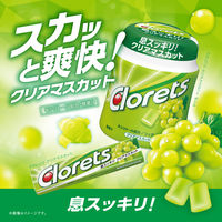 ガム 大容量 ボトルガム クロレッツXP クリアマスカット　ボトル 1個