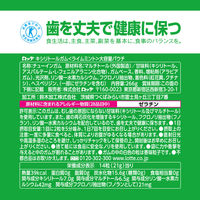 ガム キシリトールガム ライムミント 大容量パウチ 266g 1セット（1個×3）