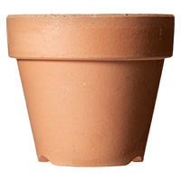 鹿沼興産 多肉植物 素焼き鉢 4号 283837 1個（直送品）