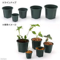 兼弥産業 スリット鉢 EUPOT 9cm モスグリーン×50個 102921 1個（直送品）
