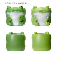 ケー・イー・アイ 鉢 リトルレジンポット カエル 273614 1個（直送品）