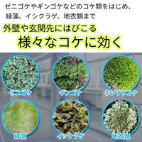 フマキラー コケ激取れ 1L 4902424453294 1本（直送品）