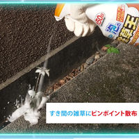 フマキラー 泡の除草王 1000ml 4902424453553 1本（直送品）