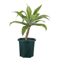 大和プラスチック 根はりポット 9型 4903266731700 1個（直送品）