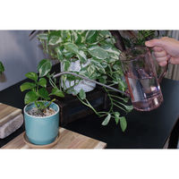 welzo 根を支える 強い土づくり 500ml 土壌改良材 4933136983762 1本（直送品）