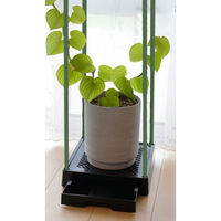 第一ビニール どこでもブラックベース 24cm 4968438027272 1個（直送品）