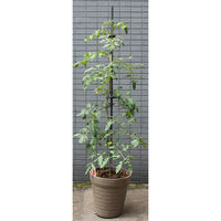 第一ビニール フリップサポート φ11mm×1200 1200mm 4968438027333 1本（直送品）