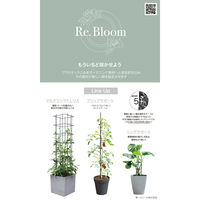 第一ビニール マルチリンクトレリス W30cmxH75cm 4968438027364 1個（直送品）