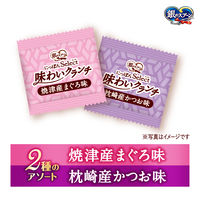 銀のスプーン にっぽんセレクト 味わいクランチ 2種のアソート まぐろ&かつお味 国産 24g（6g×4袋）1個 猫用 おやつ