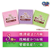 銀のスプーン にっぽんセレクト 味わいクランチ 3種のアソート まぐろ&かつお&たい味  国産 120g（6g×20袋）1個 猫用 おやつ