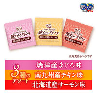 銀のスプーン にっぽんセレクト 味わいクランチ 3種のアソート まぐろ&チキン&サーモン味  国産 120g（6g×20袋）1個 猫用 おやつ