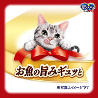銀のスプーン パウチ まぐろ&まぐろ・かつおにかつお節入り（60g×12袋）1個  キャットフード ウェット