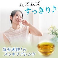 nagomi-NATULURE 有機爽快ミントブレンド 1袋(5バッグ入)