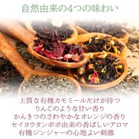 nagomi-NATULURE  有機ぽかぽかジンジャーブレンド 1セット(12バッグ入×3)