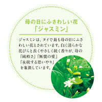 ルピシア 2026 ROOIBOS JASMIN 限定デザイン缶 1個（50g)