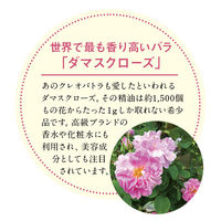 ルピシア 2026 DAMASK ROSE 限定デザイン缶 1個（30g)