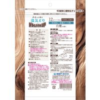 ドライ＆ドライUP 除湿剤 シートタイプ 引き出し・衣装ケース用 白檀の香り 1セット（1袋（12シート入）×2） 白元アース