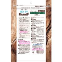 ドライ＆ドライUP 除湿剤 シートタイプ クローゼット・洋服ダンス用 白檀の香り 1セット（1袋（4シート入）×2） 白元アース