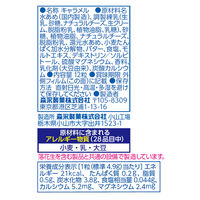 キャラメル 個包装 お配り菓子 塩キャラメル 12粒 1セット（1個×10）