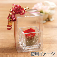 シモジマ 箱 ギフトボックス クリスタルBOX W 80×80×110 006850001 1セット(1袋(10枚入)×10)（直送品）