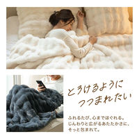 ディーエーピーネットワーク とろふわ もこもこ毛布 両面フランネル ふわとろブランケット ホワイト bon036-wh 1枚（直送品）