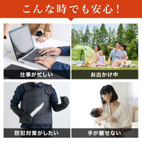 ディーエーピーネットワーク 宅配ボックス 大容量 31L 防水・防塵 ダイヤル錠付き monowa066 1台（直送品）