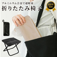 ディーエーピーネットワーク 折りたたみチェア 軽量 携帯アウトドア椅子 サンド monowa099-gy 1個（直送品）