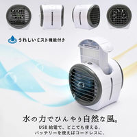 ディーエーピーネットワーク 冷風扇 卓上 ミスト機能 500mlタンク ホワイト wasser fan001 1台（直送品）
