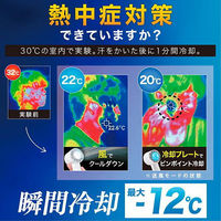 ディーエーピーネットワーク ハンディファン 冷却プレート ー12°C瞬間冷却 ホワイト wasser fan010 1個（直送品）