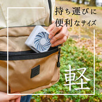 ディーエーピーネットワーク ミラー付きミニ扇風機 折りたたみ ハンディーファン wasser usb mirrorfan 1個（直送品）