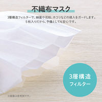 MSソリューションズ トラベルセット マスク(個包装マスク5枚+マスクケース) PL-MST03TRVL02 1個（直送品）